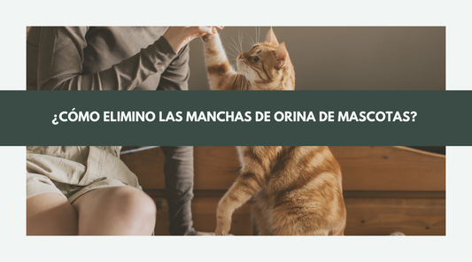¿Cómo elimino las manchas de orina de mascotas en la madera con Rubio Monocoat?